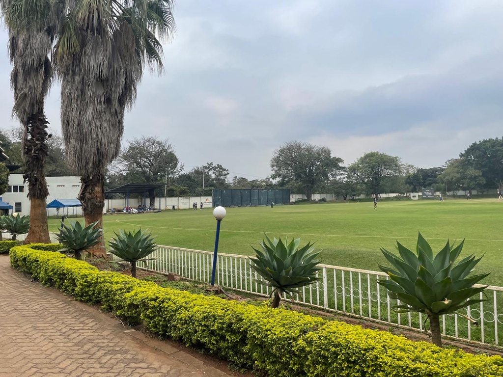 Cricket Field Hire - 1/2 Day