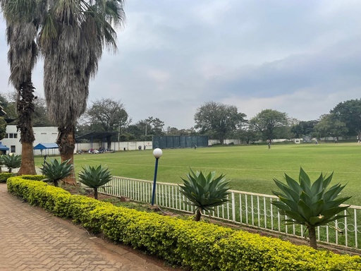 Cricket Field Hire - 1/2 Day